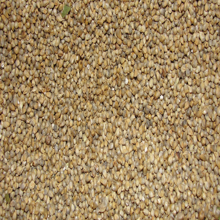 Millets